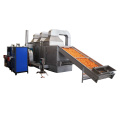 Séchoir automatique de la machine à séchage aux carottes avec pompe à chaleur